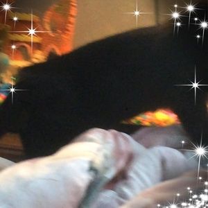 Meet your Posher, Ellen